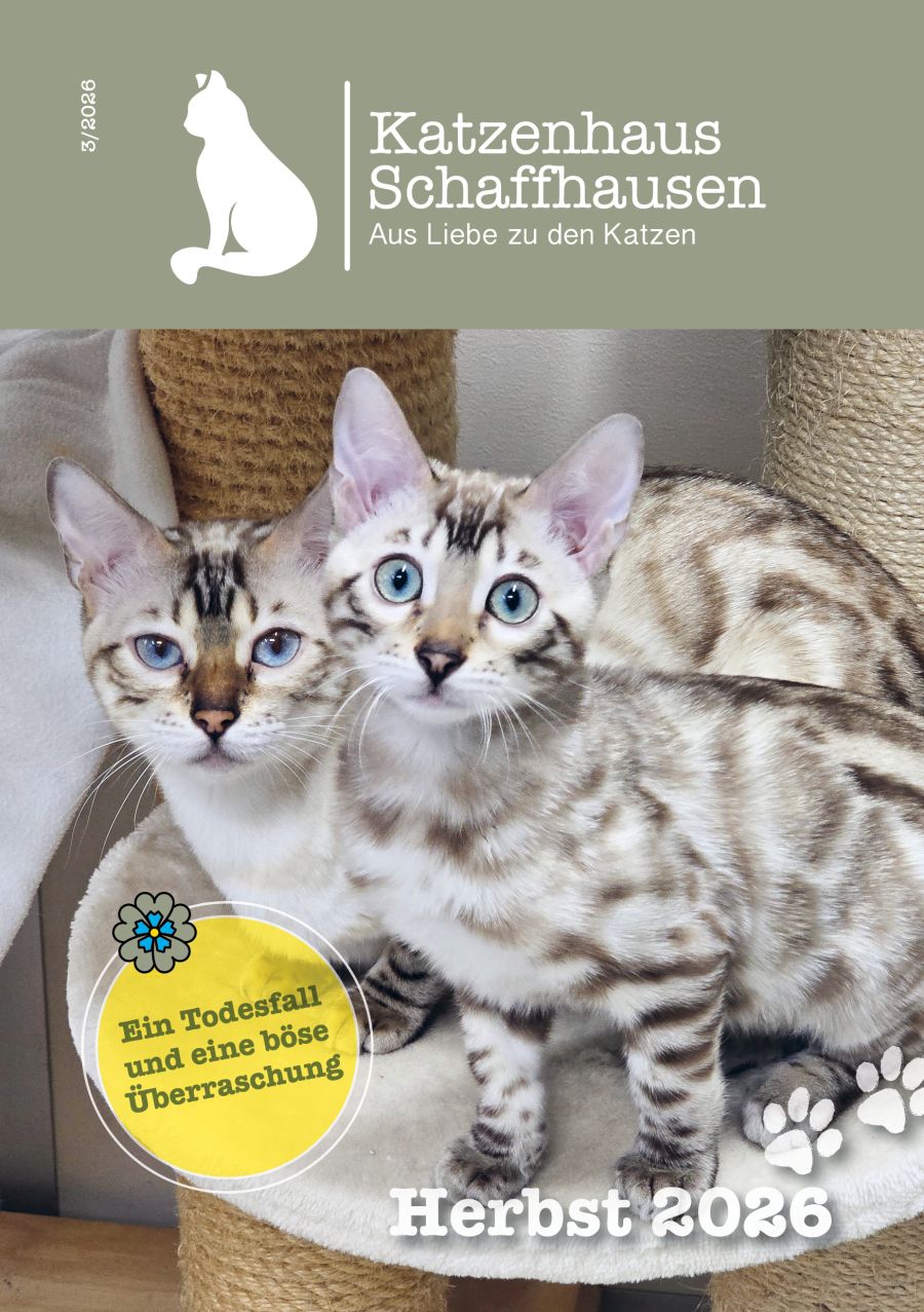 Katzenhaus-Post «Herbst 2026» ist da