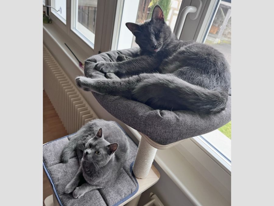 Luna & Muffin (DIREKTVERMITTLUNG)