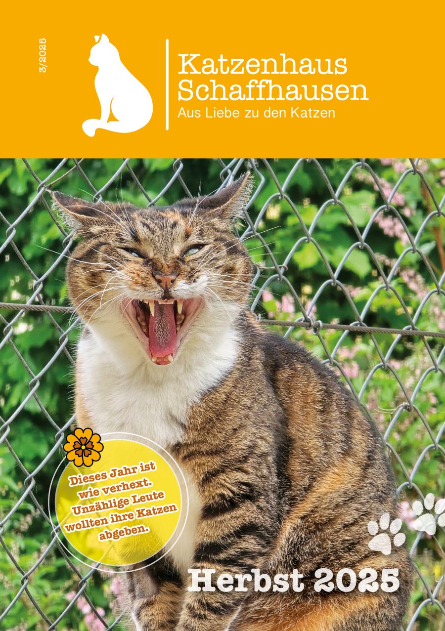 Katzenhaus-Post «Herbst 2025» ist da
