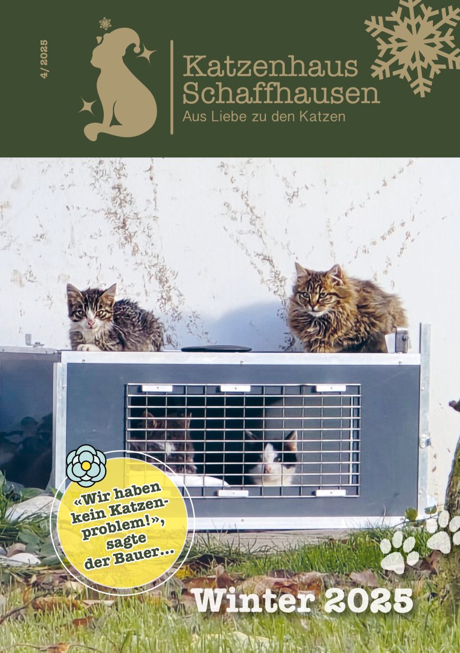 Katzenhaus-Post «Winter 2025» ist da